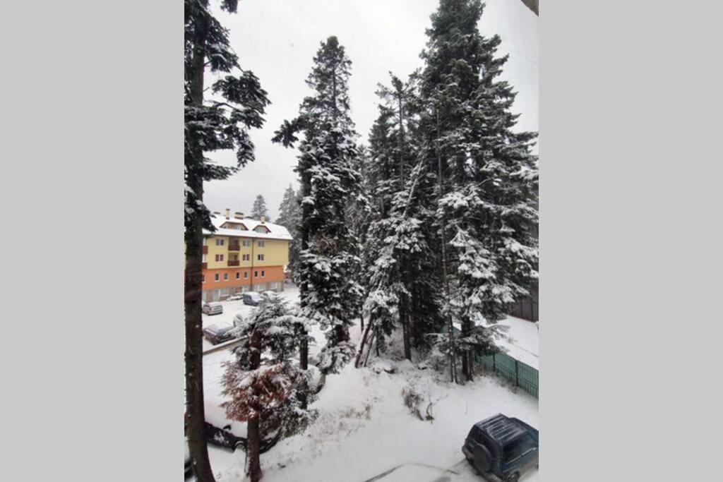 Cozy One Bedroom Apartment in Iglika Complex Borovets Buitenkant foto